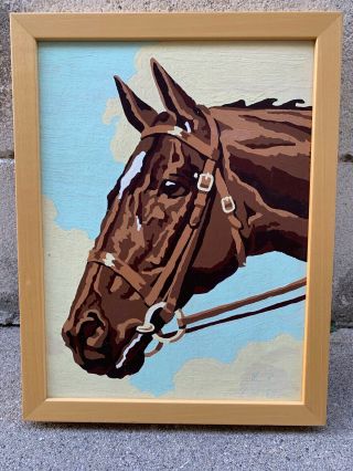 Vintage Framed Completed Paint By Number 9 " X 12 " Horse Equestrian 1958