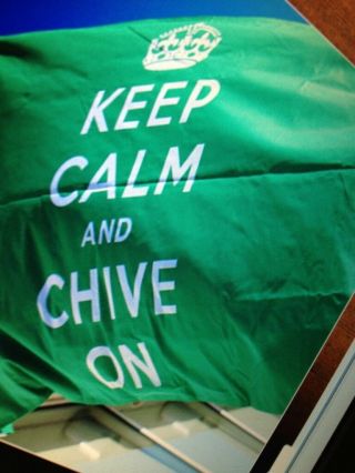 The Chive Authentic Big Flag 3 