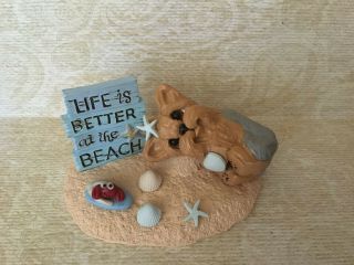 Yorkie Yorkshire Terrier Dog Ooak Sculpture Beach Fun Polymer Clay