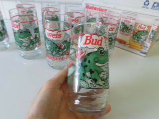 Set of 8 Budweiser Frog Glasses 1995 Official Anheuser Busch Product 2