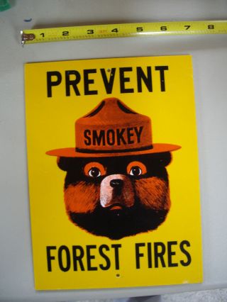 Vintage 1985 Salesman Sample Smokey Bear Sign Prevent Forest Fires Dnr