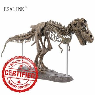 4d T Rex Tyrannosaurus Rex Skeleton Dinosaur Animal Collector Decor 2018 Model