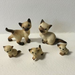 Retired Hagen Renaker Mama & Tom Siamese Cats With 3 Mini Miniature Kittens Rare