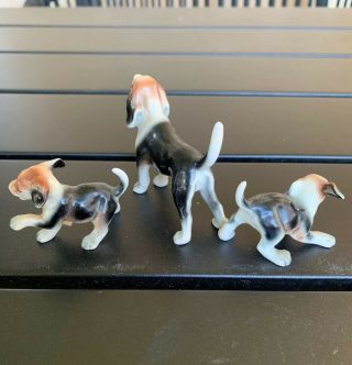 Vintage Set (3) Bone China Beagle Treeing Walker Coonhound Figurines Japan 2