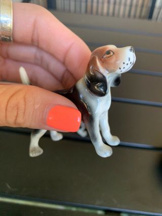 Vintage Set (3) Bone China Beagle Treeing Walker Coonhound Figurines Japan 4
