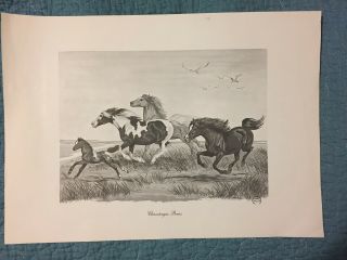Jeanne Mellin,  Chincoteague Ponies,  11 X 15 Inches,  Vintage Print - Cond