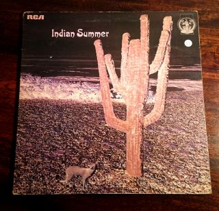 Rare Uk 1971 Lp Neon - Indian Summer Hard Uk Prog Psych Hammond Organ