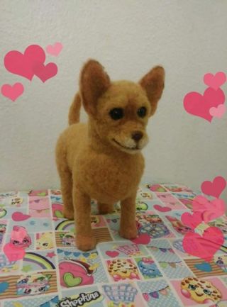 One Of A Kind,  Chihuahua,  Needle Felted Wool,  Sculpture,  Figurine,  9.  5 In