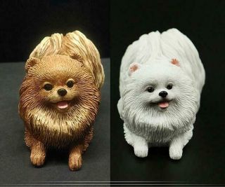 Resin Lovely Mini Lifelike Pomeranian Dog Model Ornaments Gift Statue 1pc