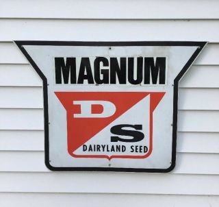 Vintage Dairyland Seed Sign D/s Magnum Wisconsin Farm Agricultural 34”