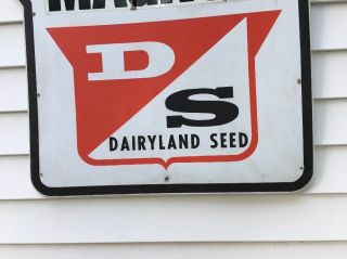 Vintage DAIRYLAND SEED Sign D/S Magnum Wisconsin Farm Agricultural 34” 4