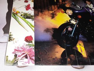 Prince/Revolution LP Purple Rain POSTER/BLACK VINYL 2