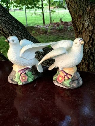 Vintage Wings Of Dove Turtle White Love Birds Homco Figurine Set Of 2 ❤️sj17j