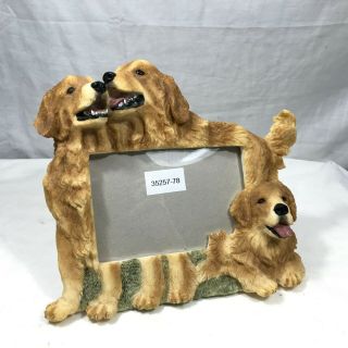 Unbranded Golden Retriever Dogs 4x6 Photo Frame