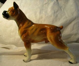 Large Vintage Boxer Intact Male Hand Paint Porcelain Dog Figurine 8 " Tall 9 " L