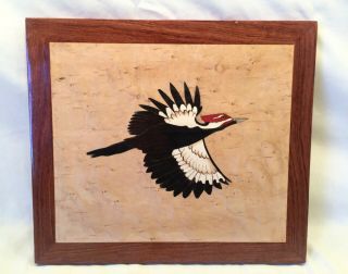 Flying Pileated Woodpecker Plaque