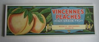 Of 50 Old Vintage - Vincennes Peaches - Labels - Indiana