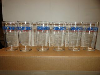 Vintage Busch Beer Glasses Set Of 6 12 Ounce
