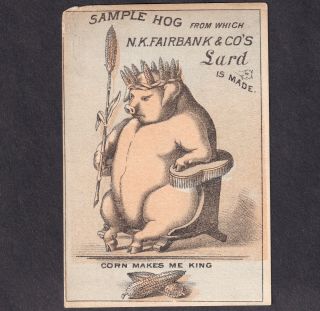Corn King Pig 1800 
