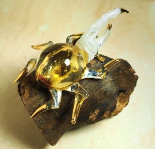 Amber Rhinoceros Beetle Figurine Art Glass Handmade Blown 3 3/8 " On Wood - Gift
