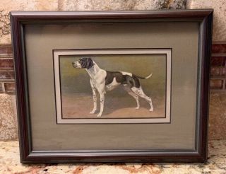 Vintage Print Of An English Pointer Dog Custom Matting & Framed