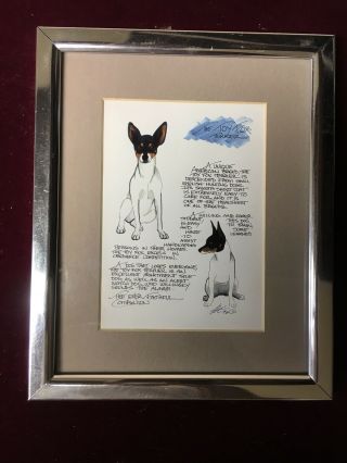 Toy Fox Terrier Breed Information Framed Litho Card