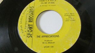 Detroit Northern Soul 45 The Appreciations Sport Records 108 She Never Really