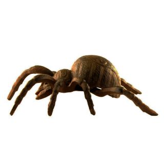 Acanthoscurria Insubtilis Cast Iron Large Giant Tarantula Spider Outdoor Statue
