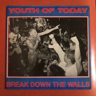 Youth Of Today Lp (break Down The Walls) Orig On Wishingwell Punk/hardcore/sxe
