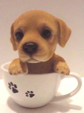 Tea Cup Labrador Puppy Dog - Life Like Figurine Statue Home/garden Series