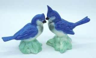 Vintage Blue Jay Bird Pair Figurines Glossy Ceramic Porcelain Crested Mates