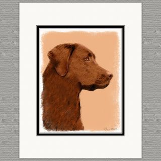 Labrador Retriever Chocolate Lab Art Print 8x10 Matted To 11x14