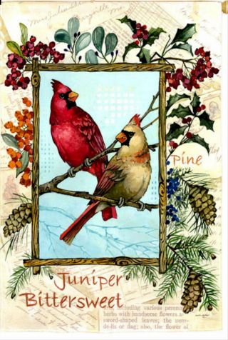 Large Evergreen Winter Flag Juniper & Cardinals Red Birds 29 X 43