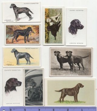Black Labrador Retriever Dog Pet Canine 9 Different Vintage Ad Trade Cards 4