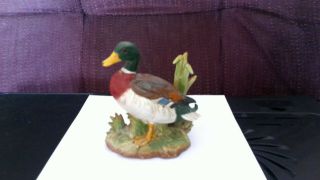 Vintage Homco Green Head Mallard Porcelain Duck 1456