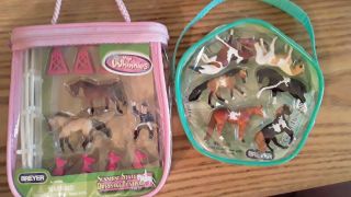 Mini Whinnies Dressage And Pintos