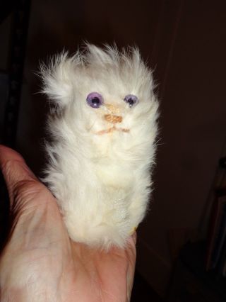 Vintage Real White Fur Kitty Cat Kitten Purple Eyes Pink Felt Ears 4 1/2 " Tall