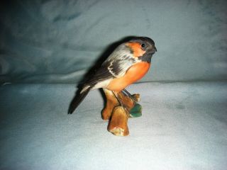 Tay Porcelain Robin Bird On Holly Branch Figurine,  3 5/8 " Tall,  199