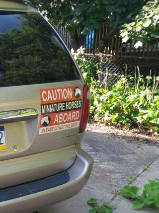 Caution Miniature Horses Vehicle Sign