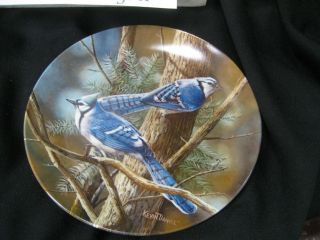 Knowles The Blue Jays Plate by Kevin Daniel 10949A Birds Plate 2