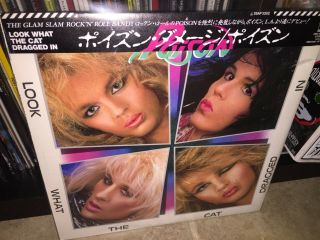 Poison " Look What The Cat Dragged In " Lp (japan Import W/obi & Insert) - Oop/nm
