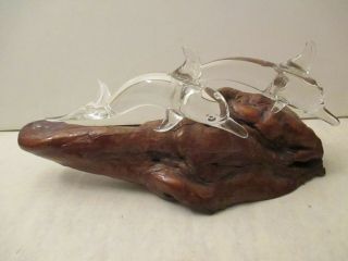 Dolphins Hand - Blown Art Glass Figurine On Driftwood By Artist In Virginia