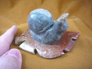 (y - Snai - 400) Gray Racer Snail On Red Leaf Gem Stone Carving Soapstone Peru