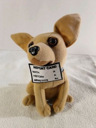 Taco Bell Chihuahua With Report Card Plush Dog 66543 " How Cool Is This "