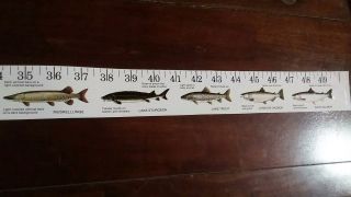 Schmidt ' s Premium Beer Fish Tackle Boat Measuring Sticker 2 