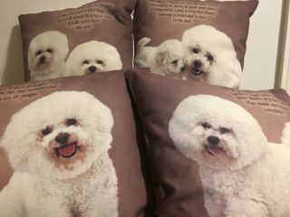 Danbury Poetic Potrait Bichon Frise Four Pillows Dogs Friends 14x14 Oop
