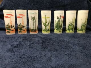 Set Of 7 Arizona Cactus Drinking Glasses Frosted Glass Vintage Blakely Oil Gas