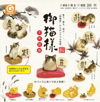 Your Cat - Like Three - Dimensional Picture Book All 12 Set Gashapon Mascot Toys