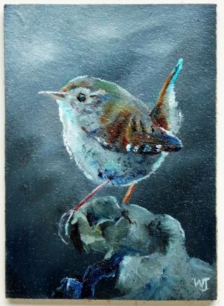 Aceo - William Jamison Miniature Oil Painting Jenny Wren Bird Portrait