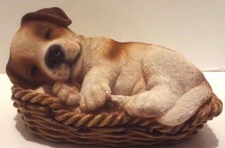Wicker Basket Jack Russell Terrier Puppy - Life Like Figurine Statue Home/garden